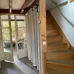 Les Mimosas *