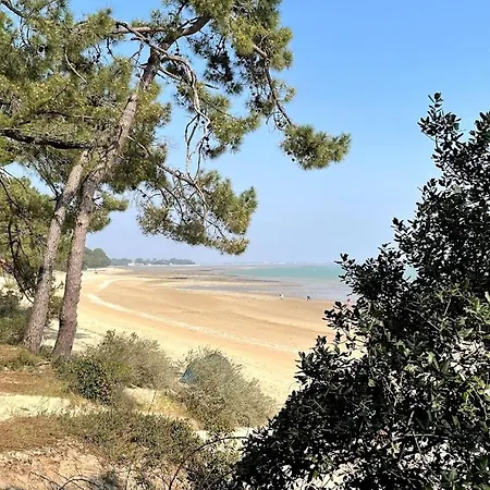 Les Mimosas * サン・トロジャン・レ・バン