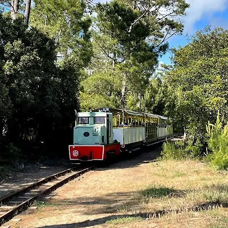 Les Mimosas 別荘 サン・トロジャン・レ・バン