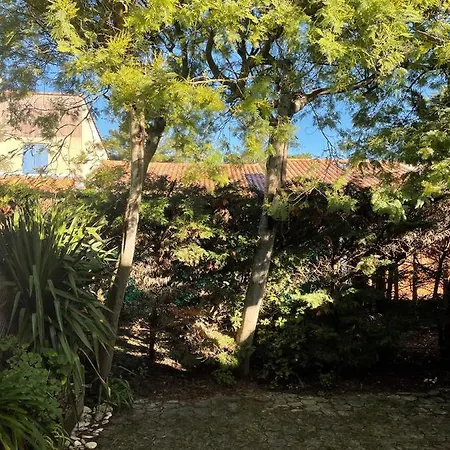 Casa vacanze Les Mimosas Saint-Trojan-les-Bains