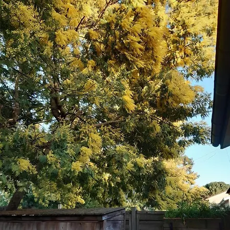Casa vacanze Les Mimosas *