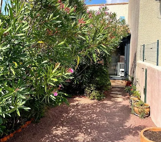 Les Mimosas * 圣特罗让莱班